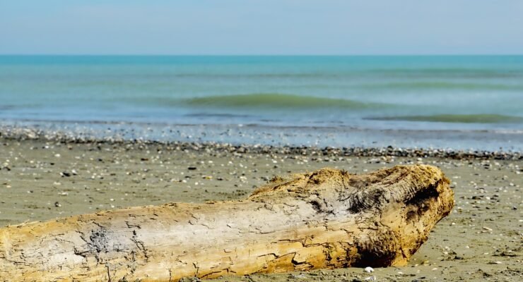 g25550c093af22178369744f43e902920af815fbe2a94cd846c5566aa5d2974817119ef78cd1c28a5dcf893e629aa6cde260285f3a97587dce52e477b42a8f61f 1280