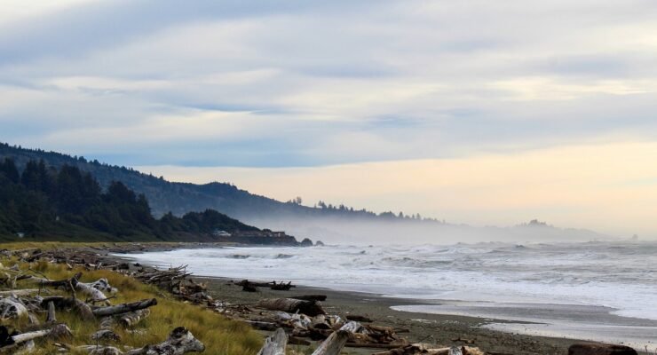 g3553842947303bb0594f391f107bc1169921770f6bb4a31e28a8080f4495e95056714ab1892b123d2445a33a01f1f2f661ad1219d518f6729d263edf60040ccc 1280