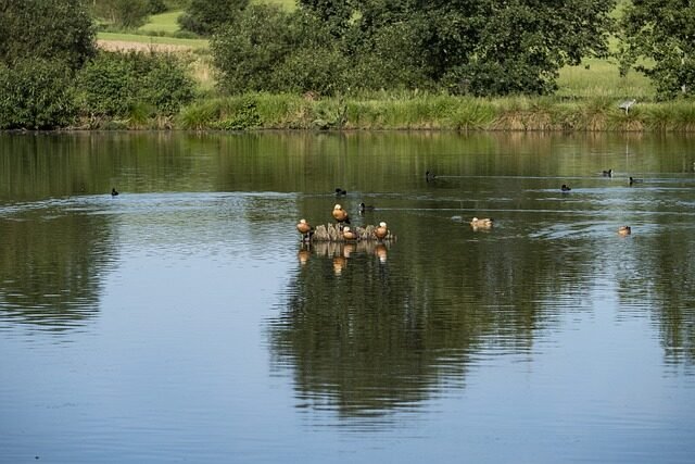 pond, lake, flow