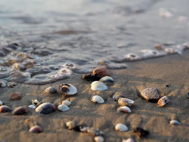 sea, 4k wallpaper, water