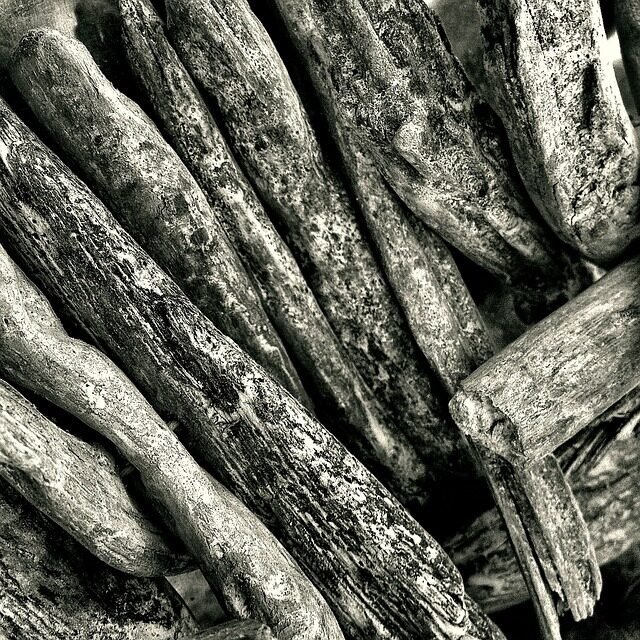 driftwood, wood, nature