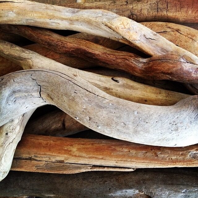 driftwood, wood, beach