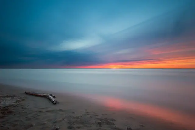 beach, driftwood, sunset