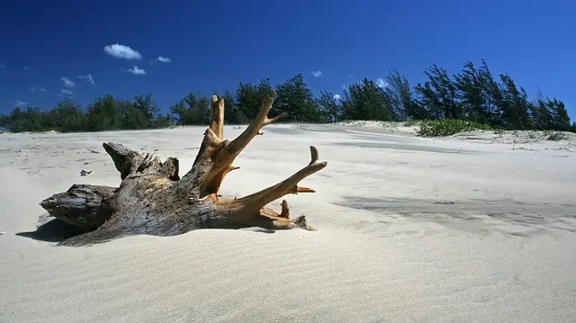 wood, driftwood, weathered