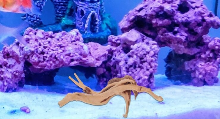 pretyzoom 2pcs driftwood underwater craft review