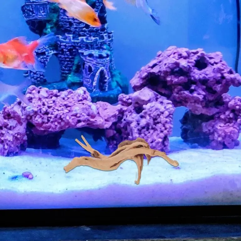 pretyzoom 2pcs driftwood underwater craft review