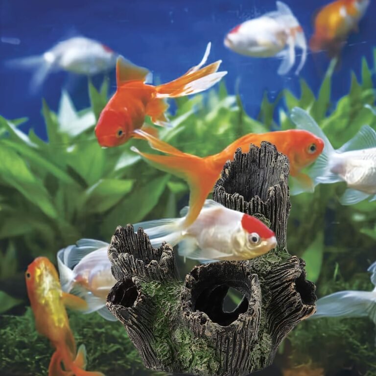 tiiyee aquarium tree trunk ornament review
