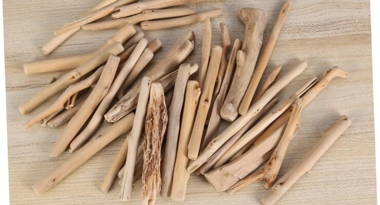 balacoo driftwood stick fish tank decor review