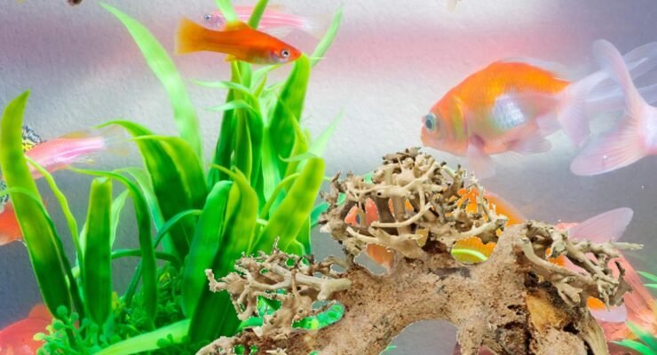 bonsai driftwood small aquarium tree aso random pick 4in h x 5in l natural handcrafted fish tank decoration helps balanc 2