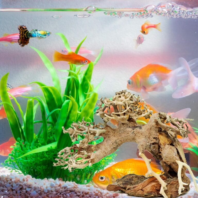 bonsai driftwood small aquarium tree aso random pick 4in h x 5in l natural handcrafted fish tank decoration helps balanc 2