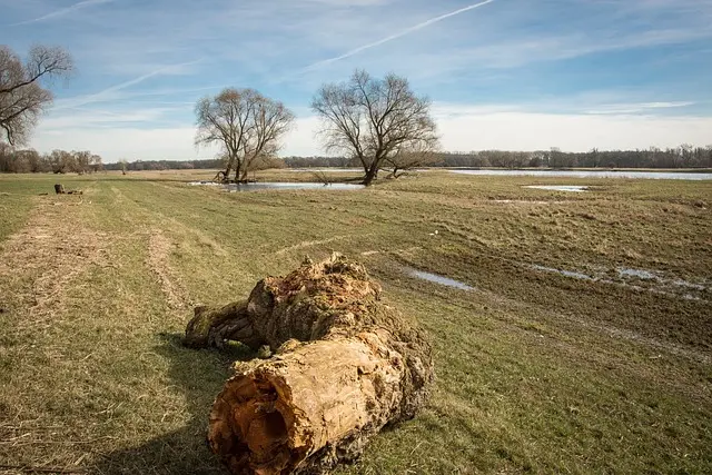 elbe, elbe bank, flow