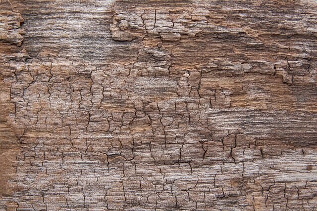 wood, structure, beautiful wallpaper