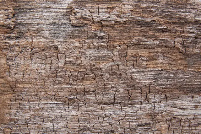 wood, structure, beautiful wallpaper
