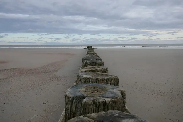 beach, wood, sand