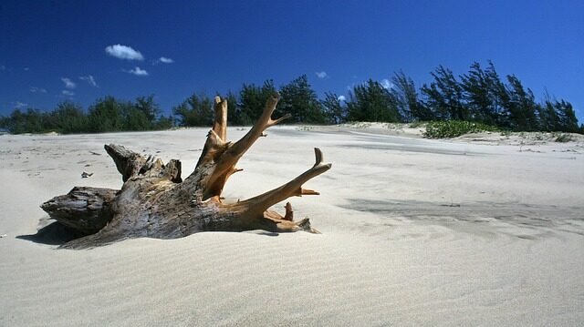 wood, driftwood, weathered