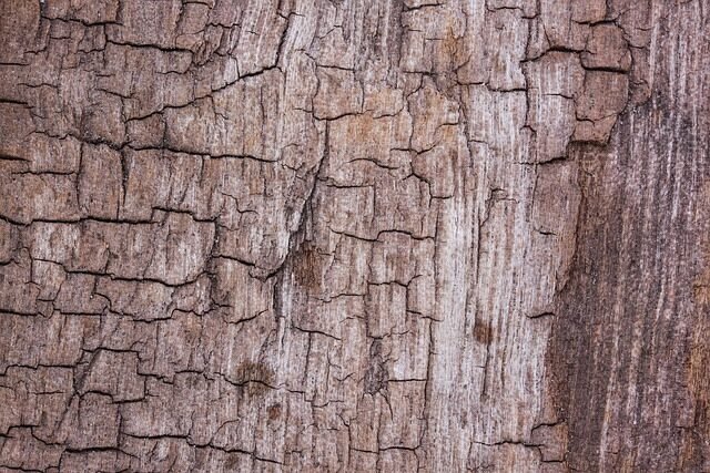 wood, beautiful wallpaper, wallpaper hd