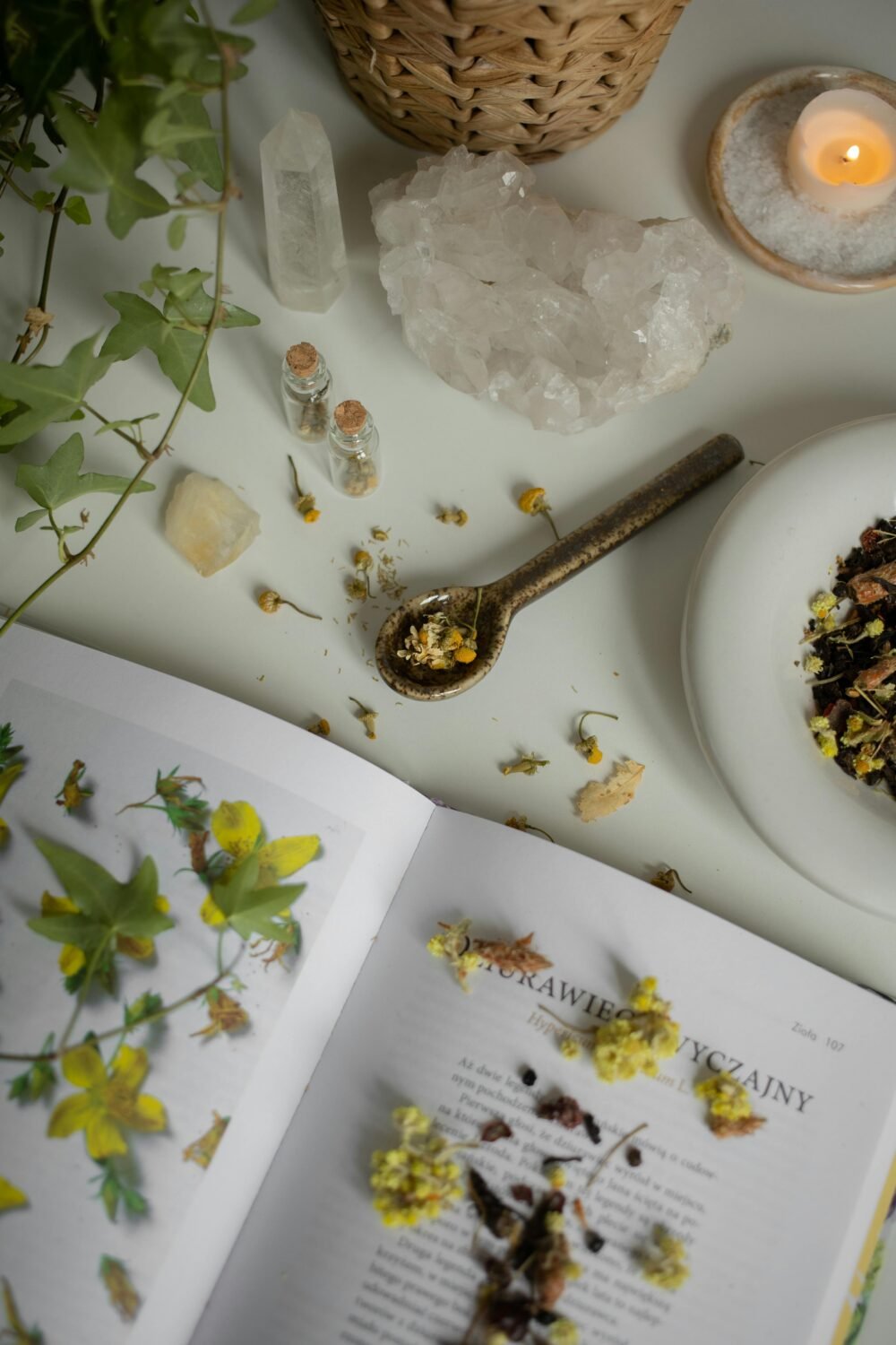 Craft With Driftwood Craft With Driftwood