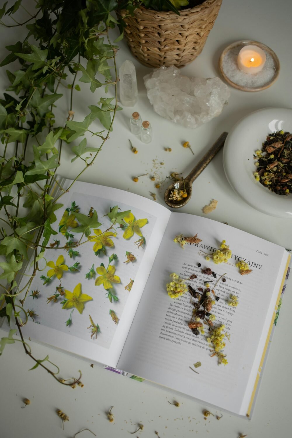 Craft With Driftwood Craft With Driftwood