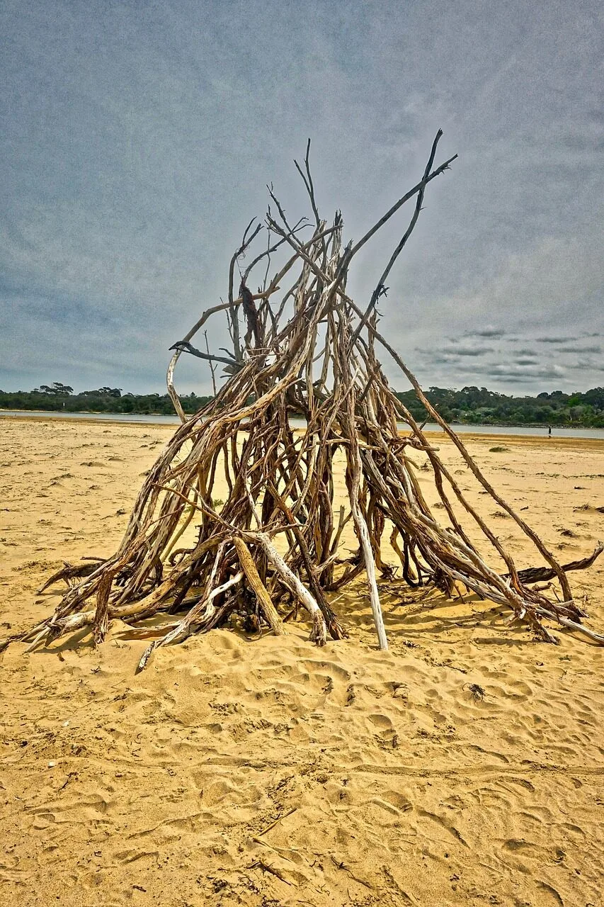 Driftwood Art Abstract