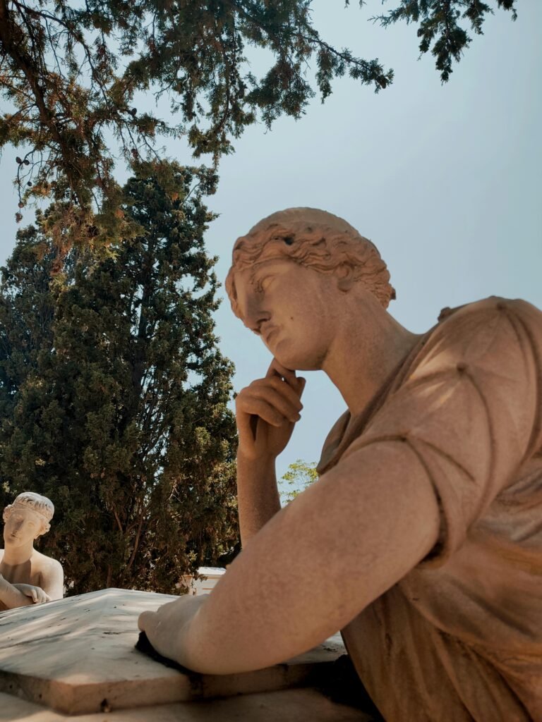 driftwood art display 2 scaled