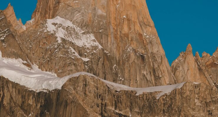 driftwood art diy creative scaled