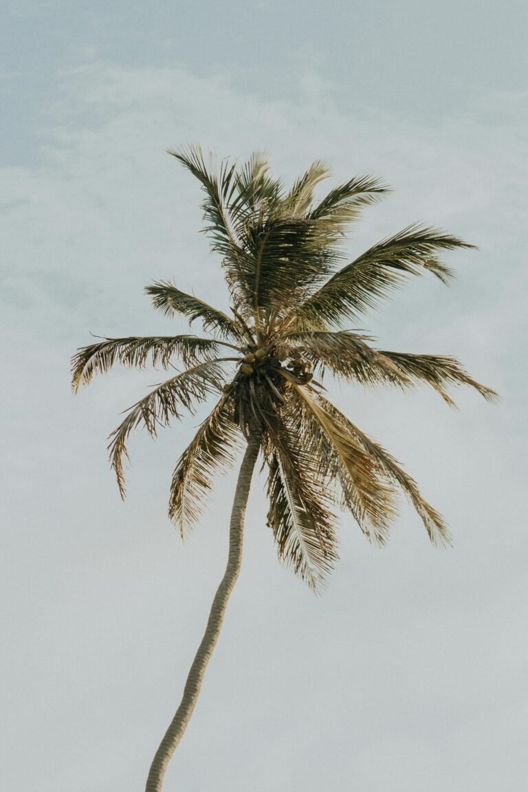 driftwood art for walls scaled