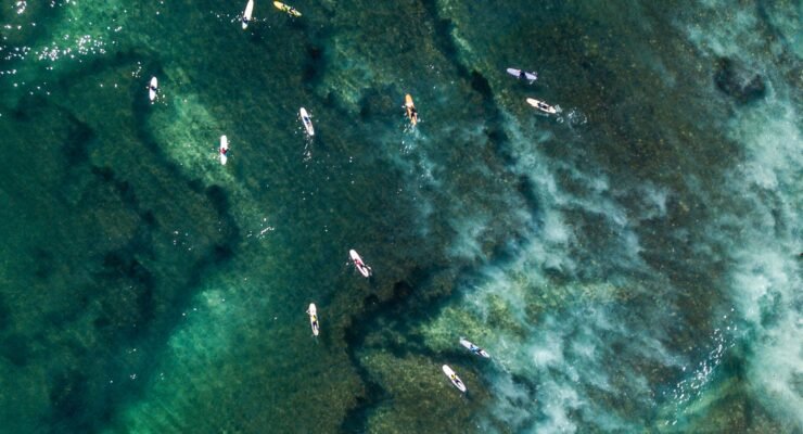 driftwood craft scaled