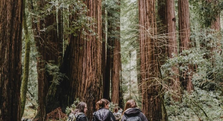 driftwood crafts 1 scaled