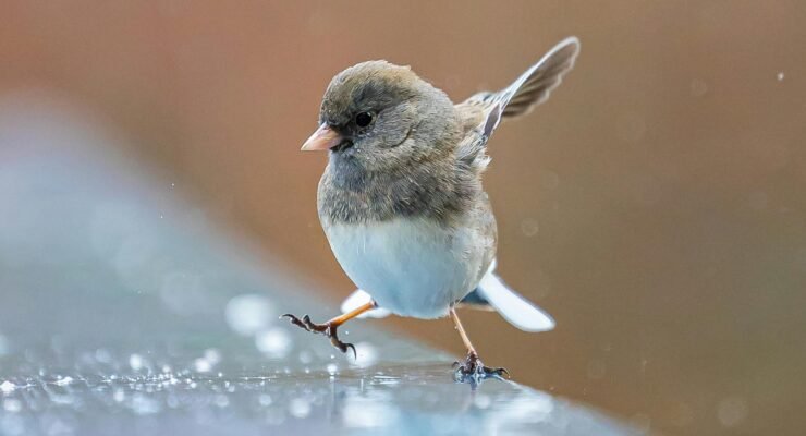 driftwood crafts for kids 1 scaled