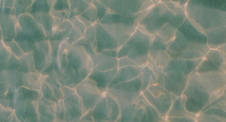 driftwood etsy 2 scaled