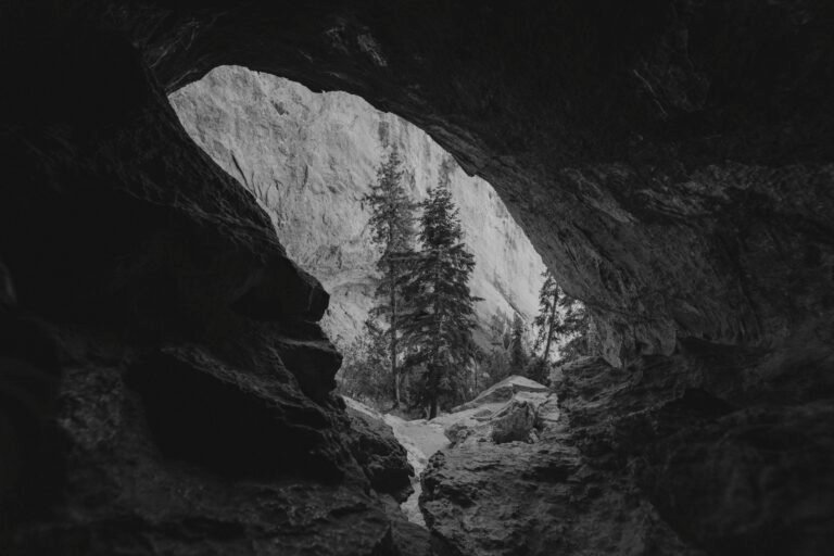 driftwood exterior stain 2 scaled