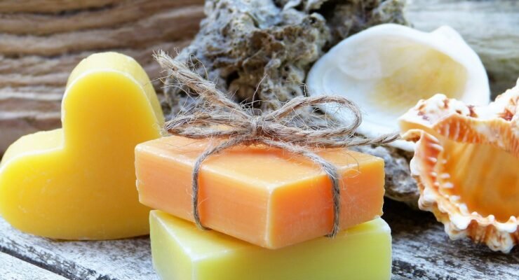 driftwood ideas garden art 2