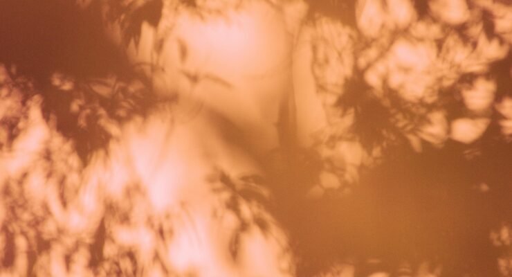 driftwood wall art bedroom scaled