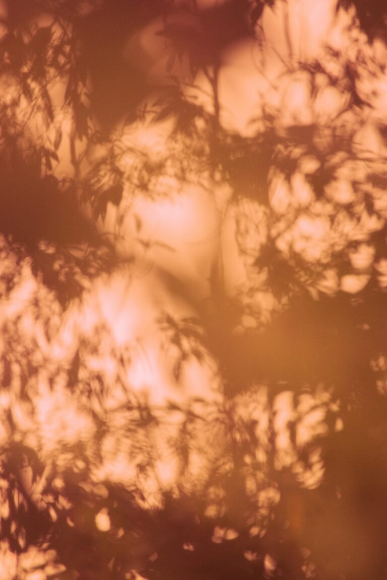 driftwood wall art bedroom scaled