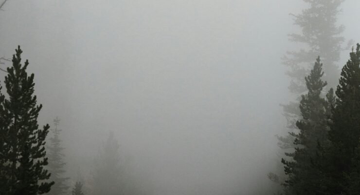 framed driftwood art scaled