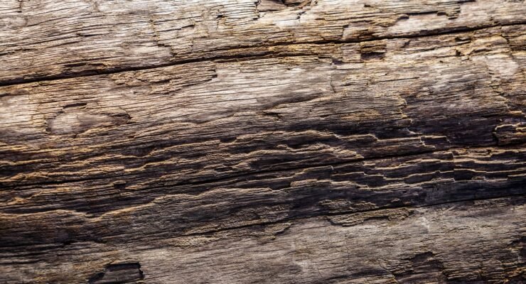 g0044ac21ffffa4a30b9aaa6782afdf1e3fbb582c5db02478e762734ac02d7fc92a2e5d5cc206296418532b759997524f157cbc1912b202cd717547508f7daee4 1280