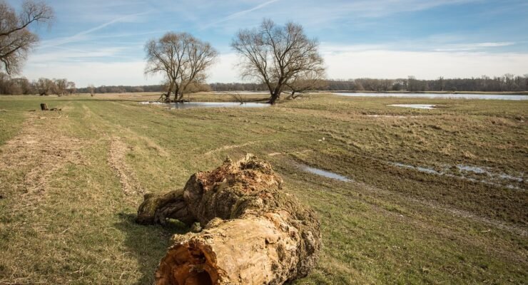 g0625feb3124e8b0b709634449c5c6619b2e23aa8cfe6bee23bf6661c4acdd70edee3ee88c51b14599025085fe57de072dcc7545ef14e05b4009f1ca84fa11306 1280