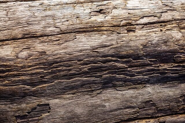 background, wallpaper 4k, tree