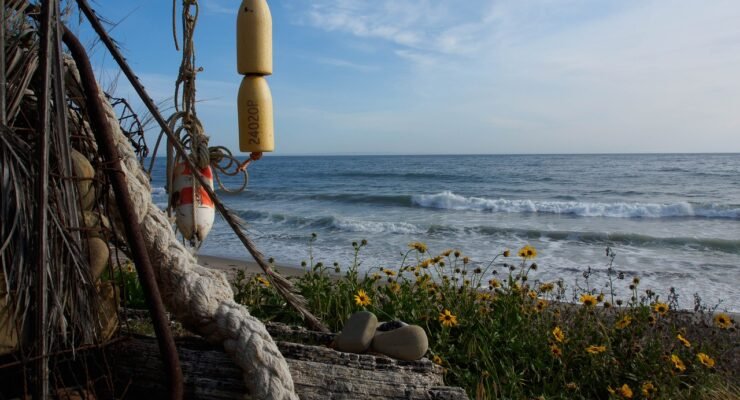 gd588c7be2755f241764130945ec0eb90f3390c99c09faee194d87e02405eadbea2e81f24e28c6c2b5c33f121b6f890f6213660b3d23705459761eceae83e80c5 1280