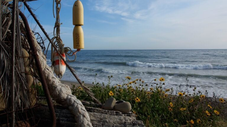 gd588c7be2755f241764130945ec0eb90f3390c99c09faee194d87e02405eadbea2e81f24e28c6c2b5c33f121b6f890f6213660b3d23705459761eceae83e80c5 1280