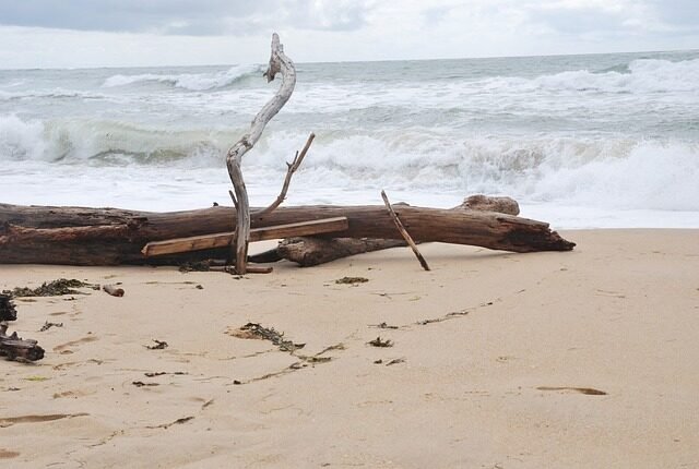 ocean, waves, beach