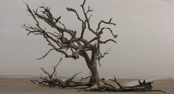 g512f3782b1dd76b57b72103e3b4651cff112d573b64f3f0633b10572bdb9ebe03e8508ed0c751b8b3f1cbf38e208cf0d8804001340cc14ea85d97aeeac60089b 1280