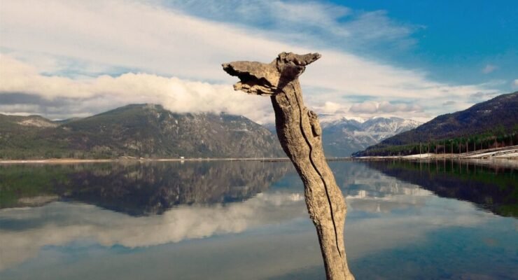 ga5423634e1c1873796e3140755fb7f0ec5909dffbb2622620d83754ad1c3cce338a342ce91a23aa65ffa173002a5bab736ed06dff25802cfc491335c5af78a48 1280