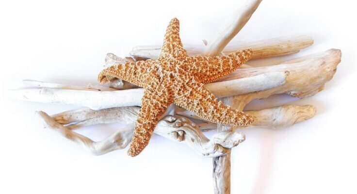 g80338ae8e3a826a1e191794f442d5822187e4960a66fe3a372c1c0e0ff29cab078656eabb0cc0eed19775884f17defee 1280