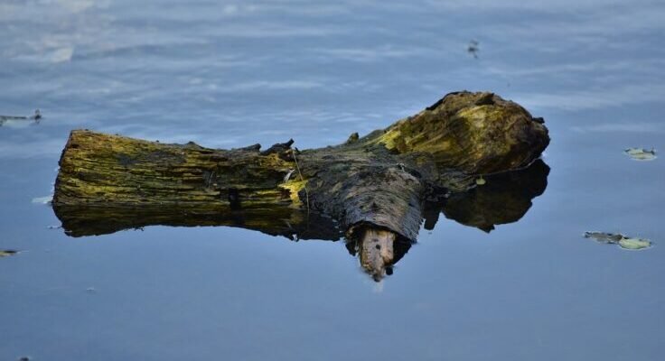 g64ad97978a7f84739e7942f80b574f8f628787184446e7cbd861f72b35a152e5ae38a258a60ab6baa218a53811434f03433cb2128929ef173f63d8619675c53c 1280