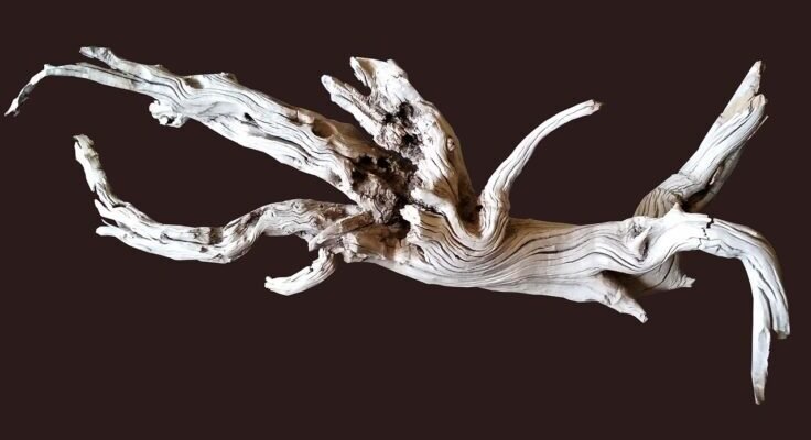 g370013caa74d3fc9896b2b726ed620f36c60bd1e66ae2d02d9a8848ffdc1a1ca93d54bdb853257d919289634c79170c752c35f1a9a2713aa518c98ee49bb20c5 1280