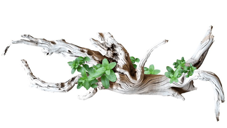 g22881486c145c66c041d4c172b2986285120186178303dc88ed840e4d90d809e6740e382ccec7dc43ec33232f88ac6530737b72bfa5f8ba453c5bfc285b6b9c1 1280