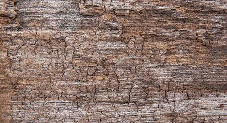 ga4ebdec58163a24d22b61a5e565d7bf343db8389db76d2d9e3c412f7bd348079a857cc1564c17536a2bafbf9818082a4 1280