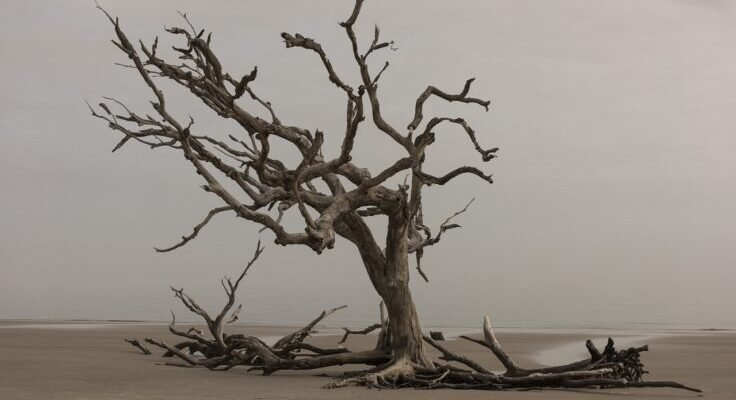 gbc0769860011199217ac1896520ed77f47fd578bb769aec041f1e301d4d0c4d65bd56f241e7249b0caf15e0ed8e9cac1b45e0663743731884ee528f8f9a935f1 1280