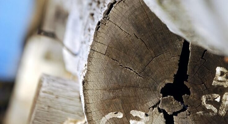 gc93097fce87a3d84b3fefce26350b43d6e4c6dc5c905ad1e0f83edd2d94b54613d4bbf0bca4c156e5677b27926bdadb1 1280